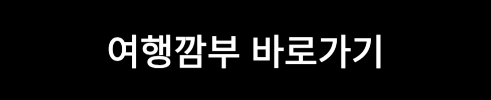 2024 여행자 보험