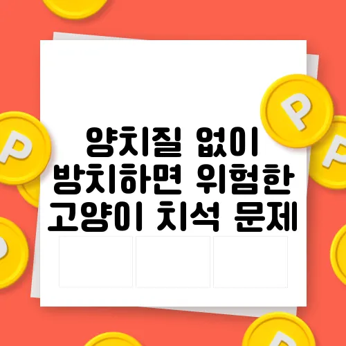 양치질 없이 방치하면 위험한 고양이 치석 문제
