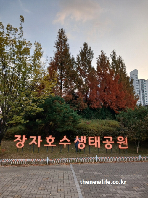 초겨울 단풍이 남아 있는 장자호수생태공원 입구 풍경