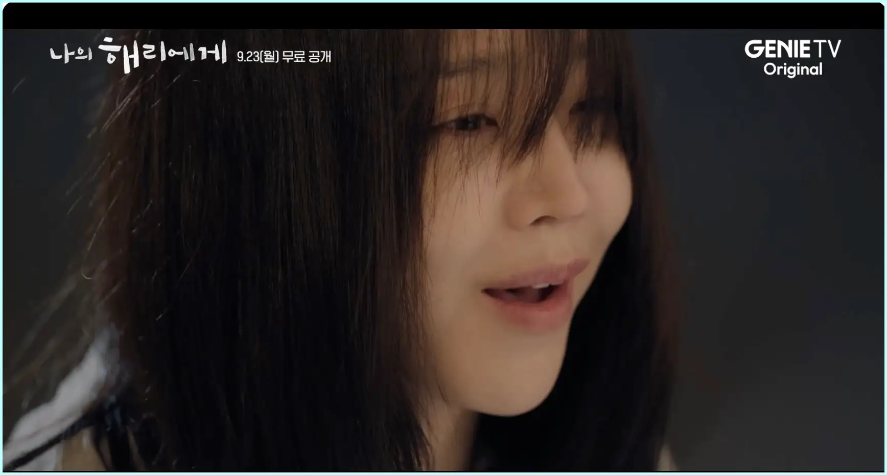 나의 해리에게 등장인물 인물관계도 줄거리 ott