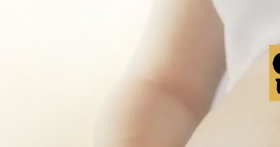 상황버섯 효능 부작용