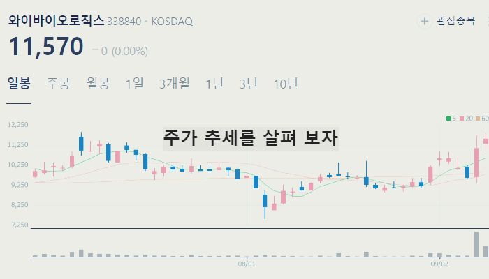 제약바이오 관련주 대장주 테마주 TOP7