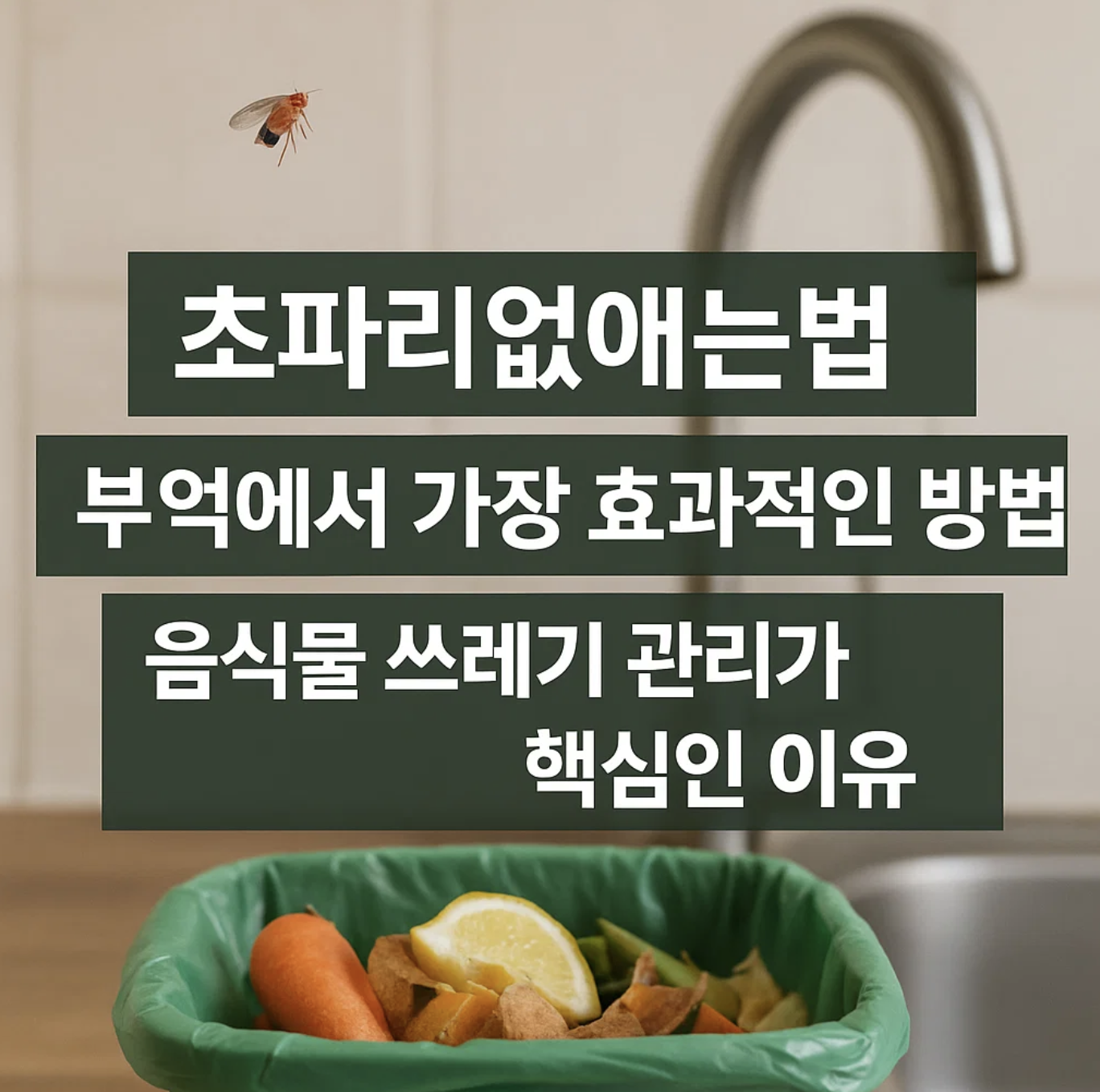 초파리없애는법 부엌에서 가장 효과적인 방법, 음식물 쓰레기 관리가 핵심인 이유