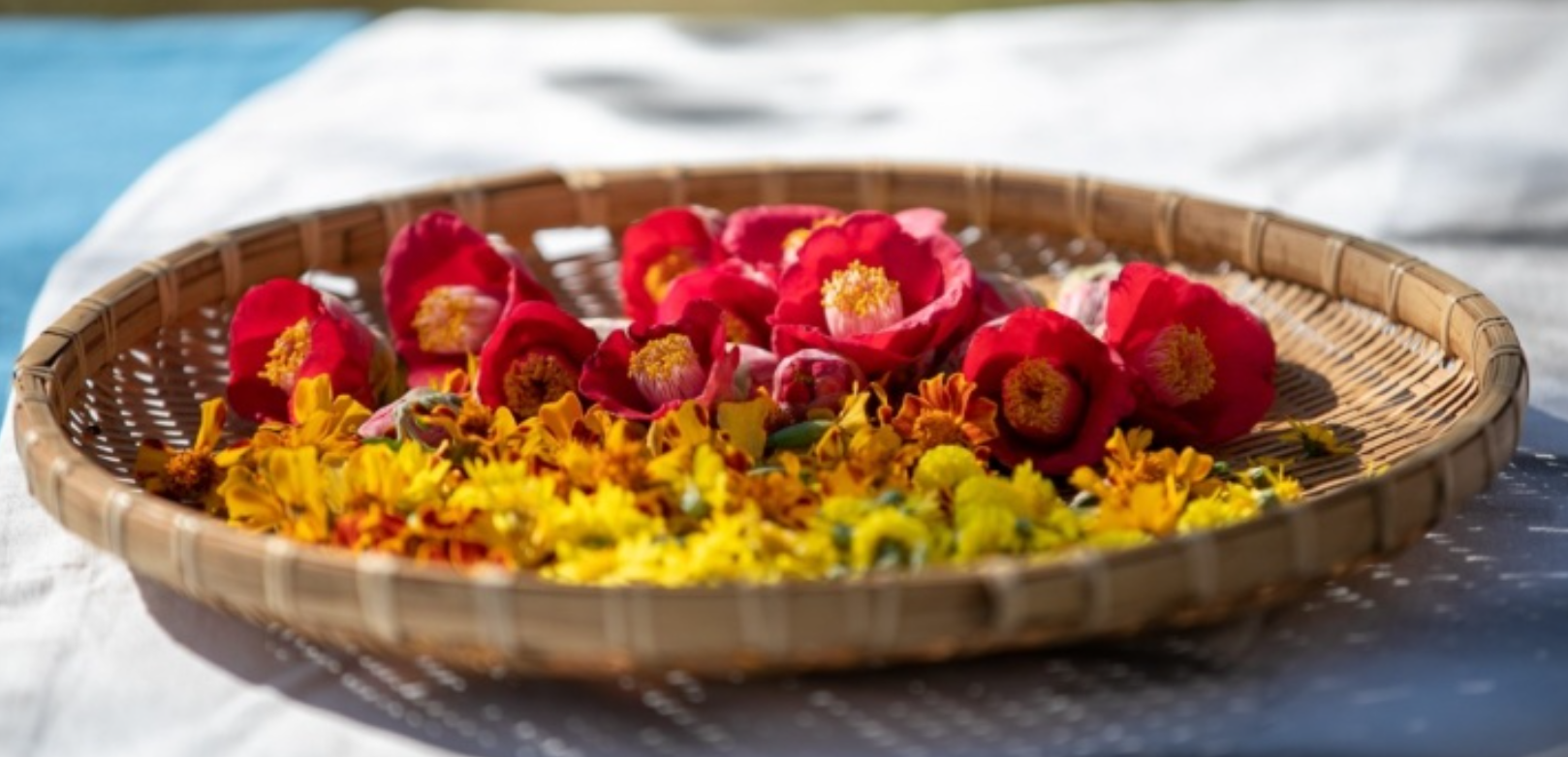 제인꽃차교육농장