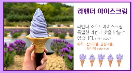 허브아일랜드 라데봄축제? 당신만 모르는 비밀 공간