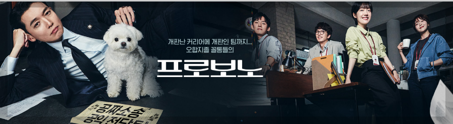 프로보노 드라마 출연진 OTT 줄거리 총정리