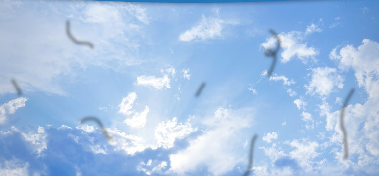 비문증 수술 유리체 절제술이란?