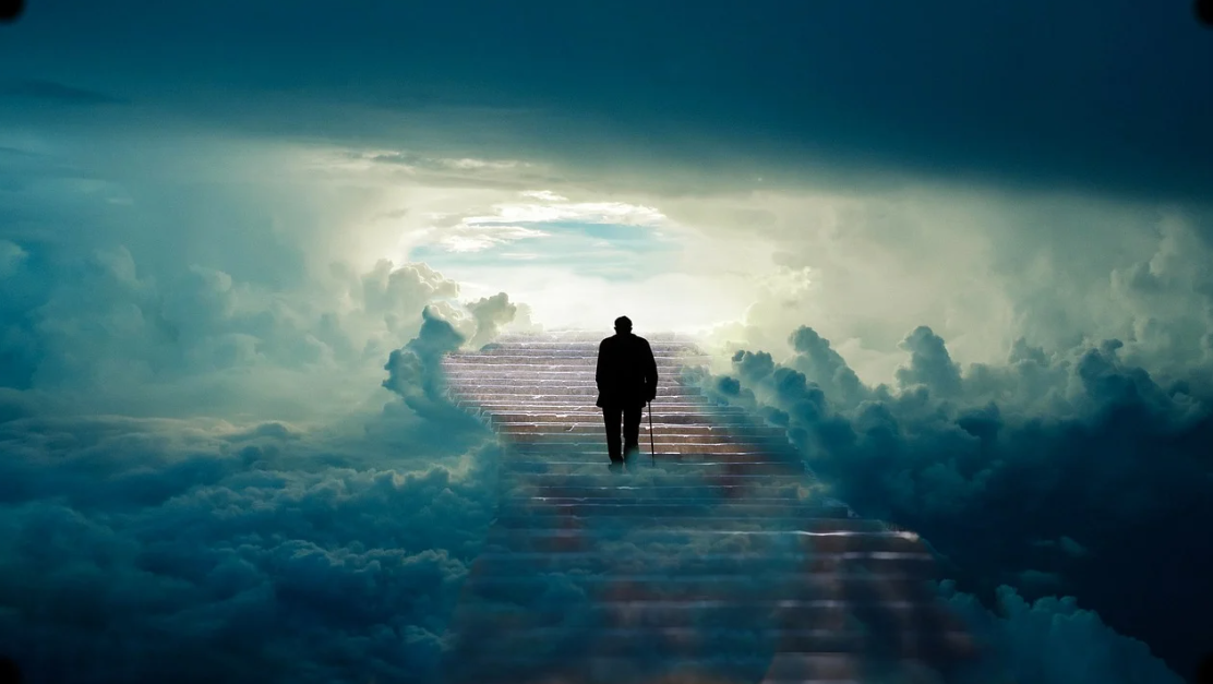 노인 영화 분석 관련 사진