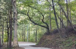 치악산 국립공원 실시간 cctv