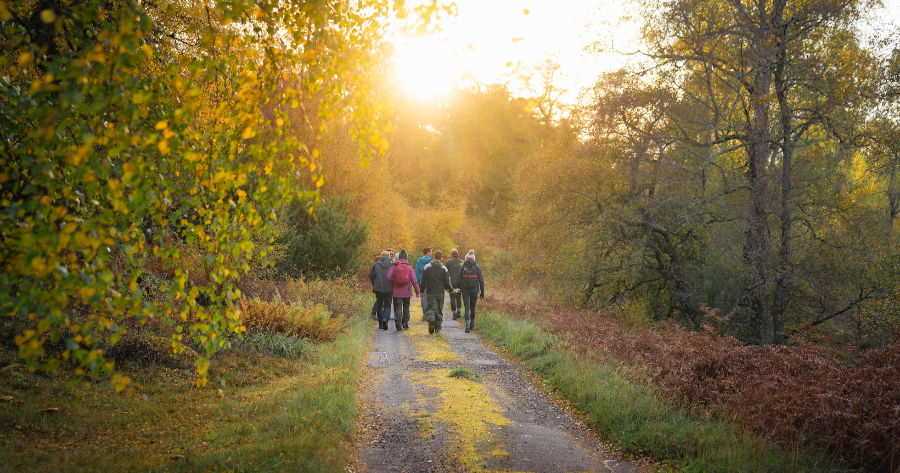 참여자라는 느낌