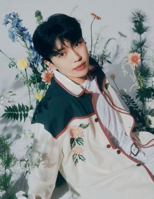 임영웅 엄마 재혼