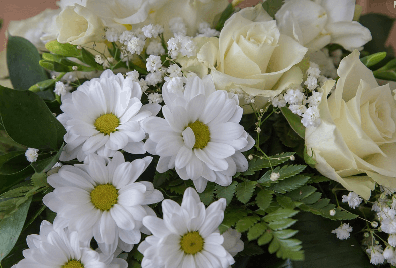 조문 위로의 말