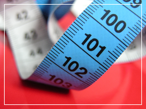 다이어트와 알파CD