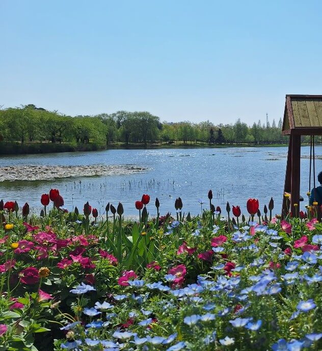 2025 고양국제꽃박람회, '꽃, 상상 그리고 향기' ,고양국제꽃박람회 일정 및 예약 바로가기!!