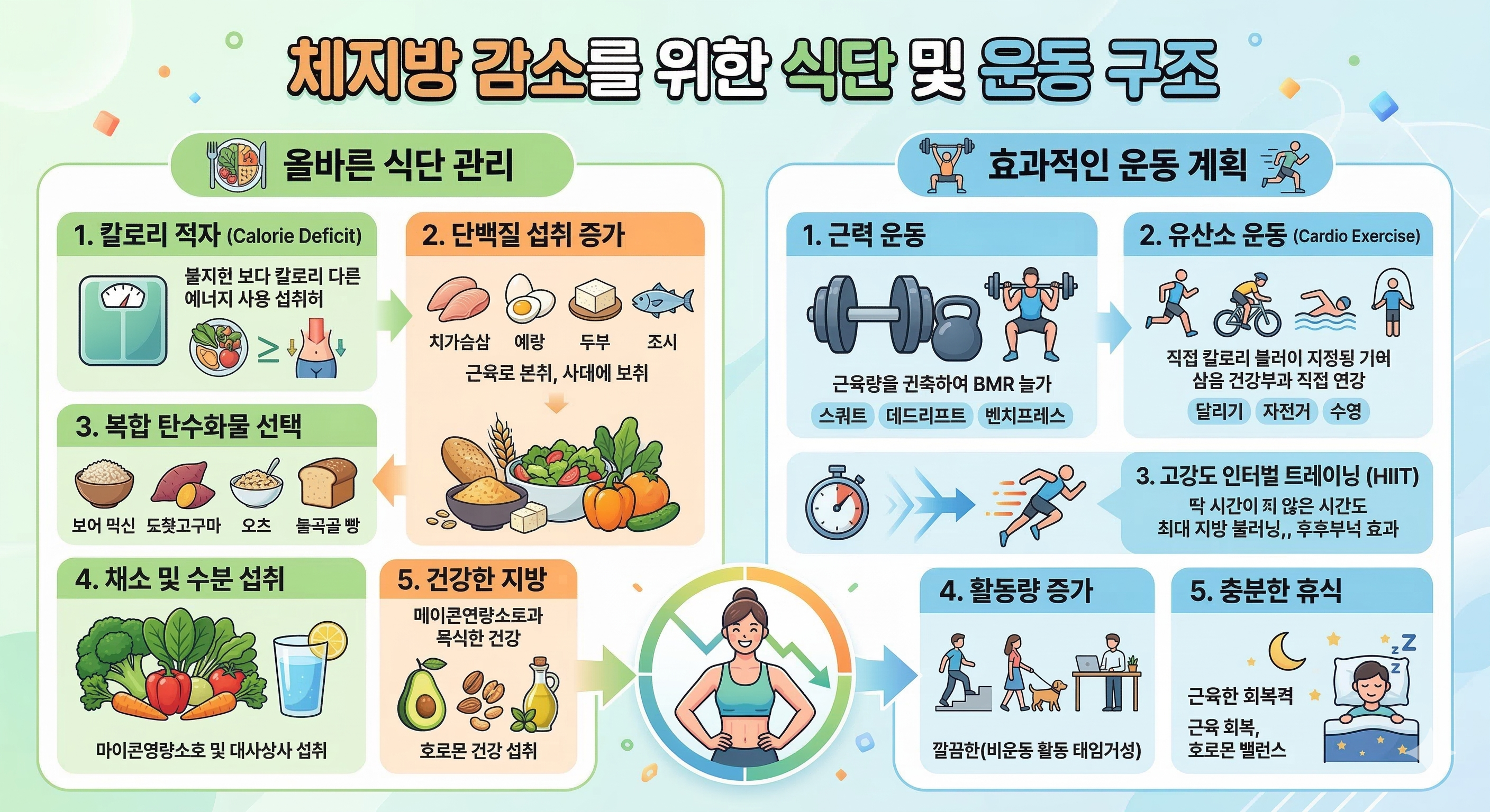 체지방 감소 식단 운동 구조