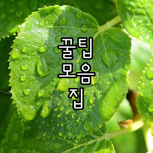 소 사육농가 주목 2025 양주시 폭..