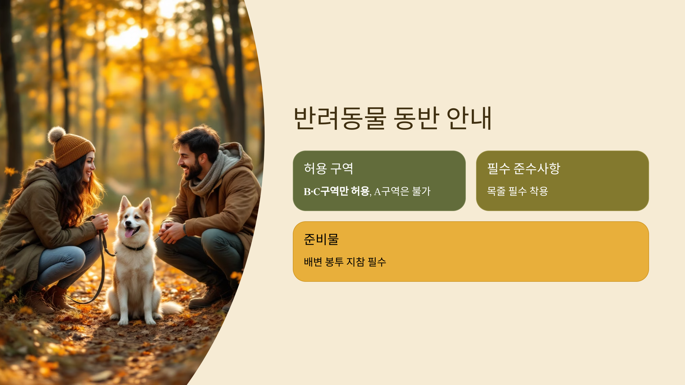 🏕️평화의댐 오토캠핑장: 카라반·반려견동반 캠핑!