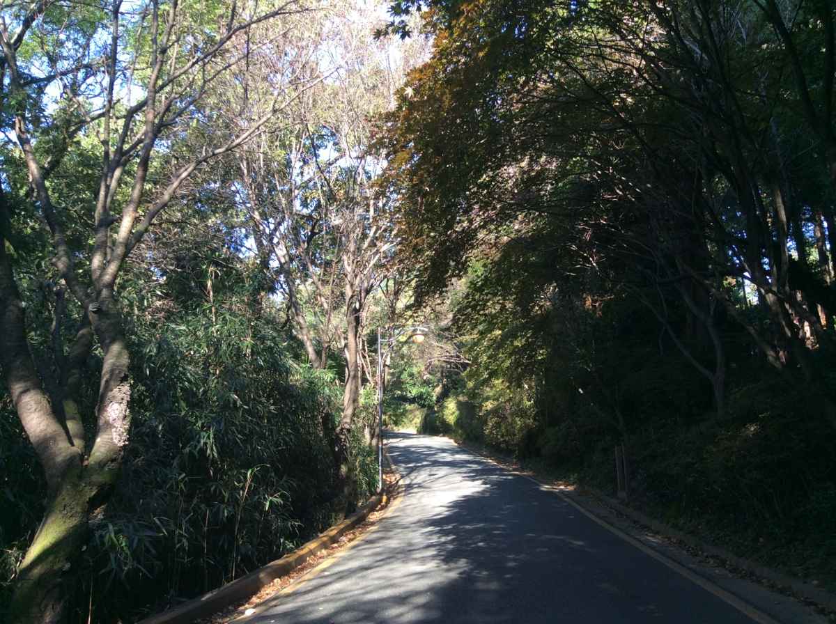 죽도봉공원