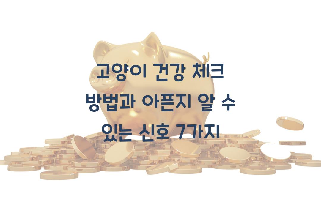 고양이 건강 체크 방법, 아픈지 알 수 있는 신호 7가지
