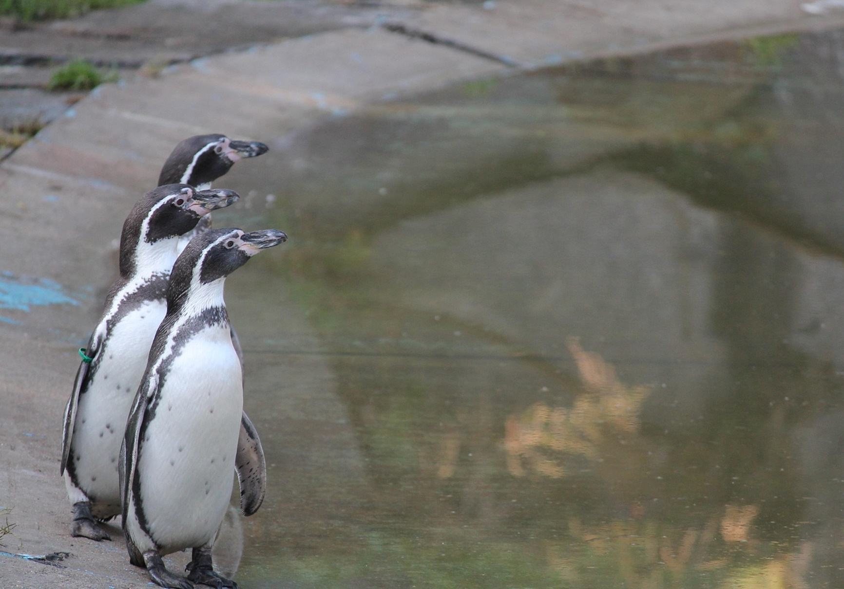 기후 재난이 일상이 된 이유 지금 이 순간에도 진행 중인 5가지 경고 신호