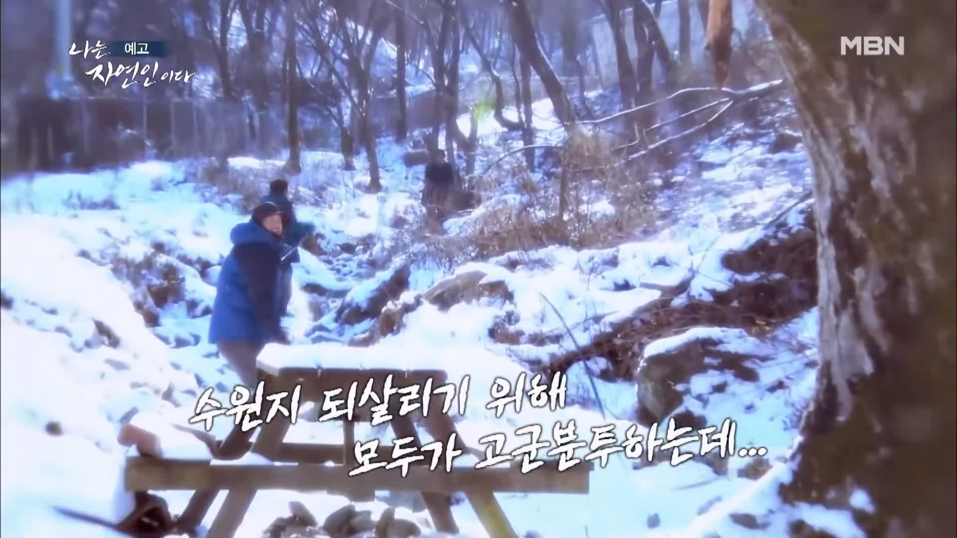 나는 자연인이다 겨울왕국 혹한 자작나무 피톤치드 닭개장 동치미 국수 자연인 김명기 소개 및 이승윤 출연 536회 다시보기