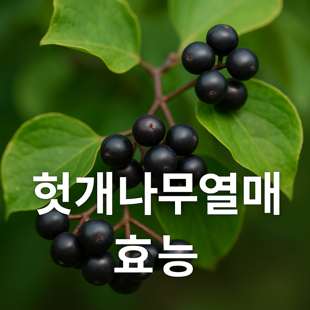 헛개나무 열매 효능