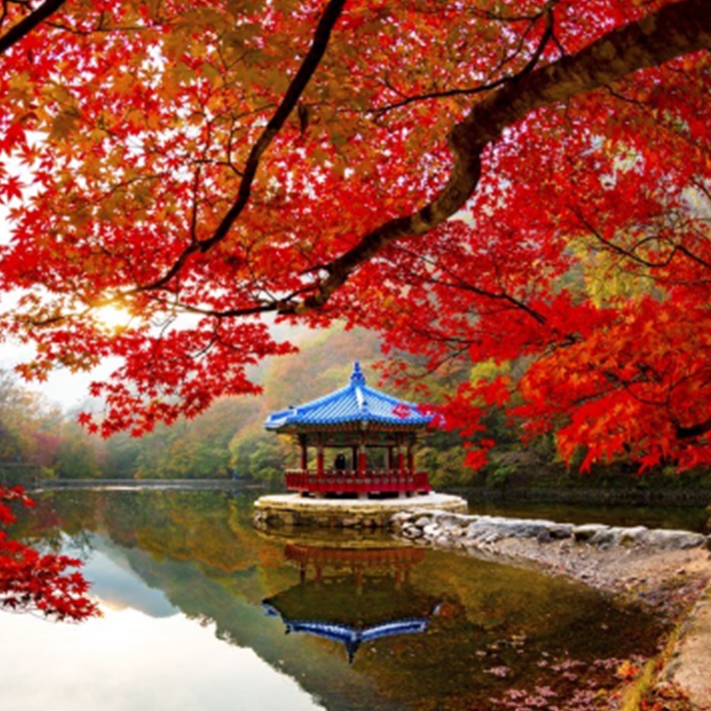 내장산