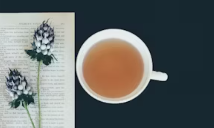 표고 버섯 먹는법