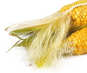 옥수수 수염차 효능 배뇨기관에 도움