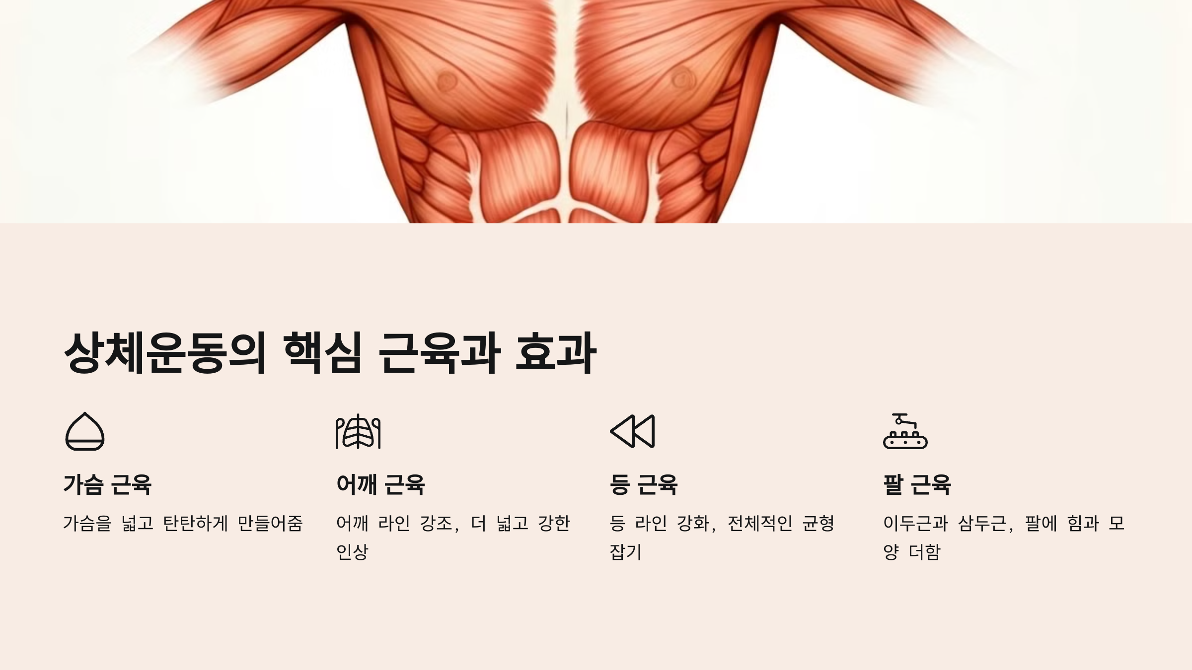 상체운동 루틴 완벽 가이드 홈트레이닝 헬스장 기구 상체근력운동