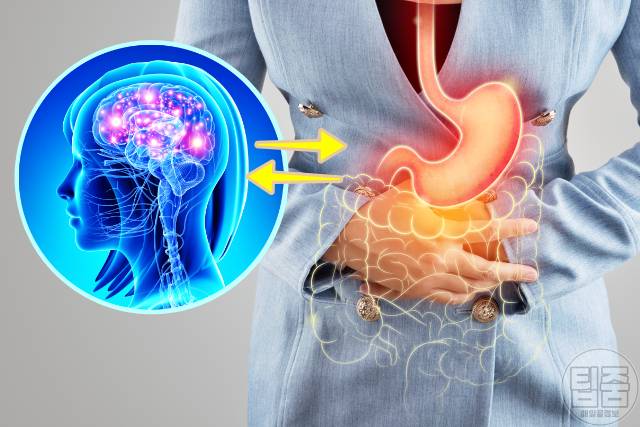 소화 안되고 트림 속쓰림 기능성소화불량 생로병사의비밀