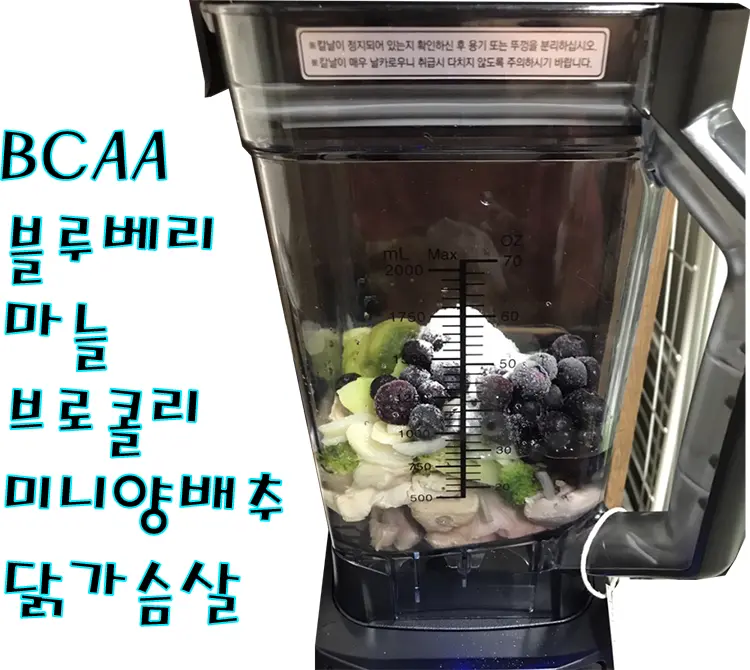 닭가슴살 쉐이크 요리 3