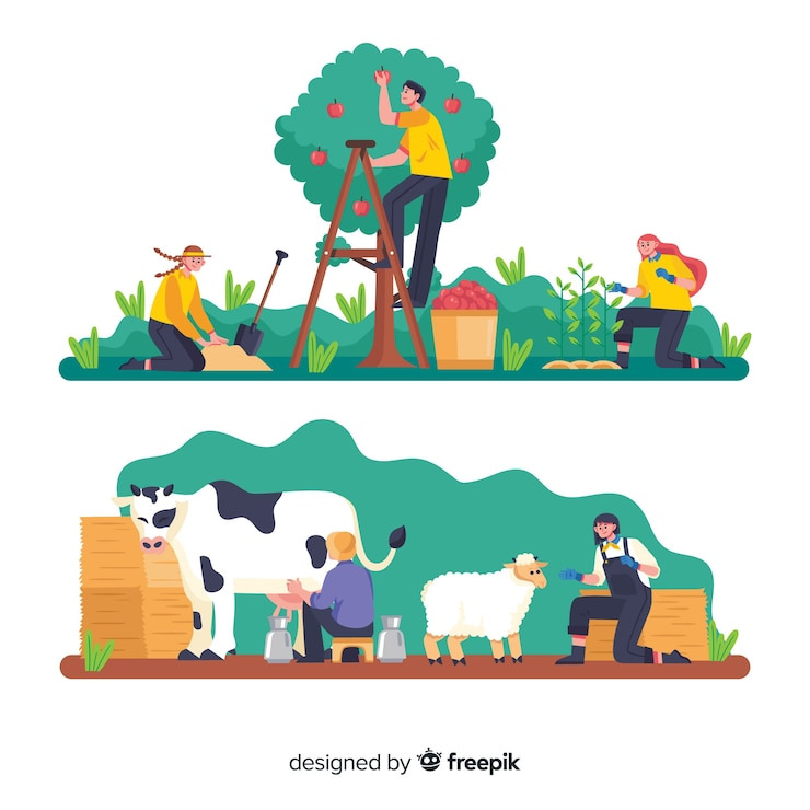 농업경영체등록 확인서 발급