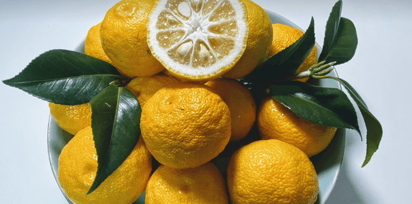 만성 피로에 좋은 음식 사진 - 2