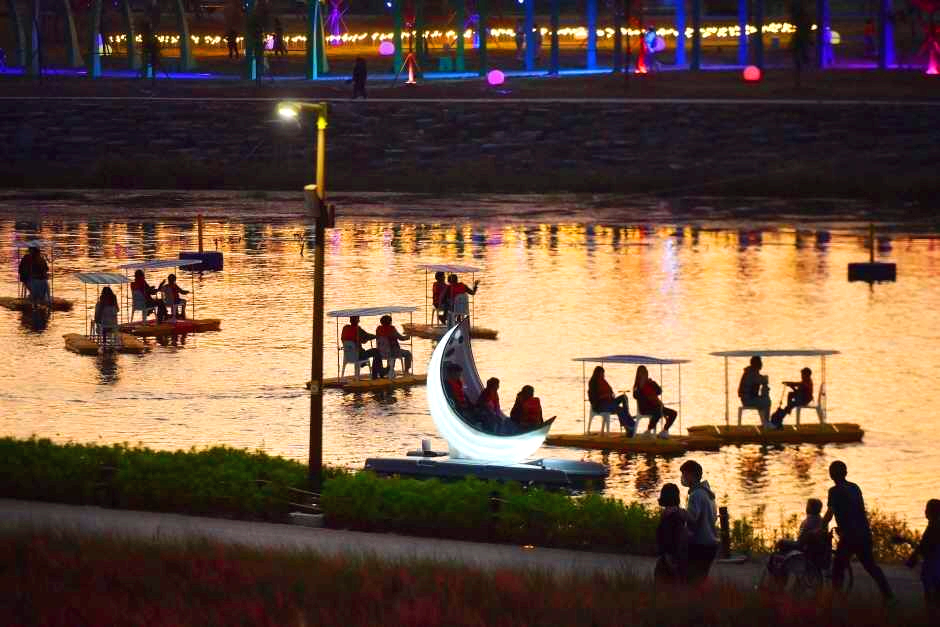 장성 황룡강 가을꽃축제