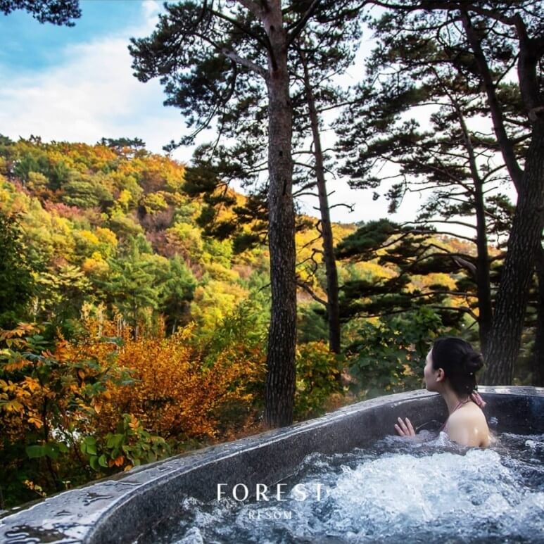 포레스트-리솜-노천탕