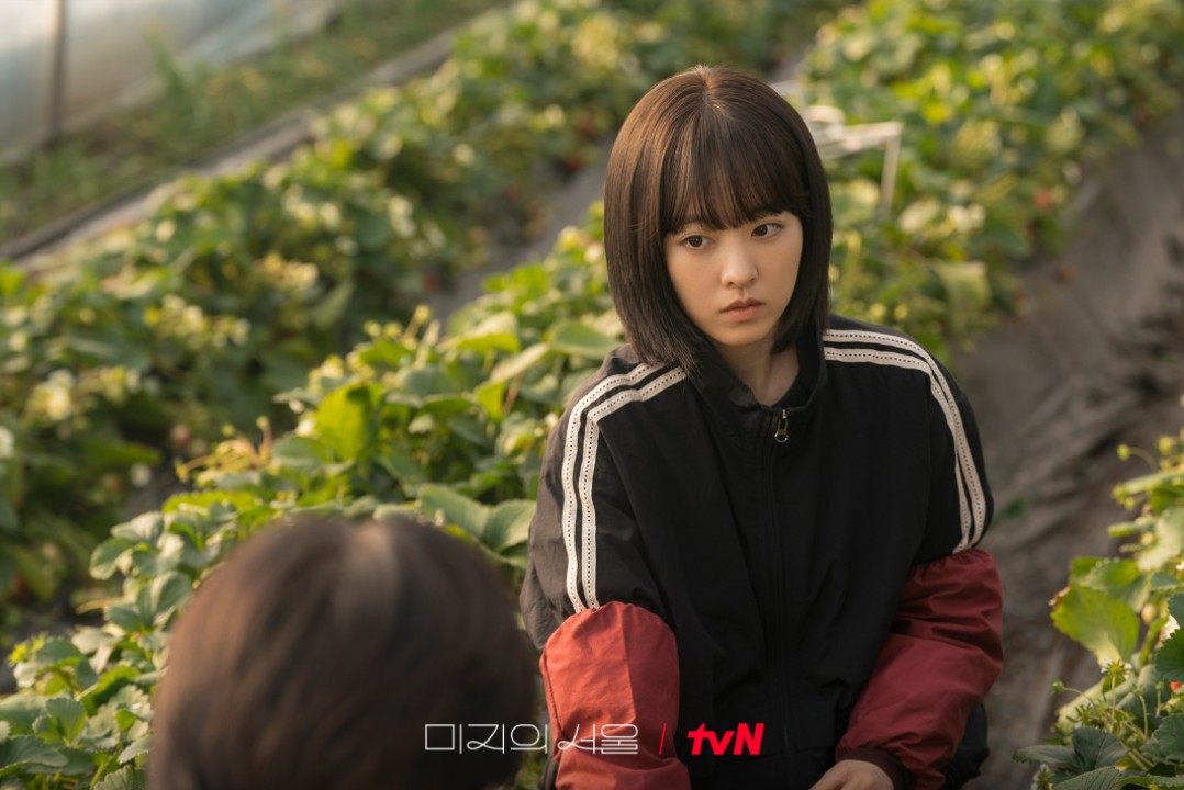 미지의 서울 등장인물관계도·넷플릭스 OTT