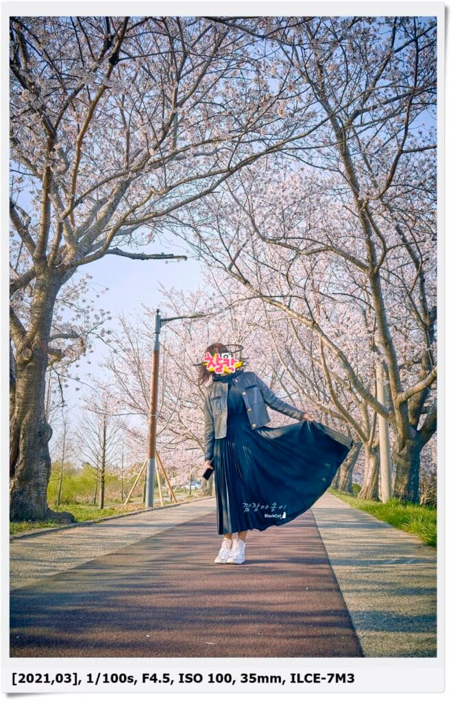 부산 강서 낙동강변 30리 벚꽃길 산책 풍경
