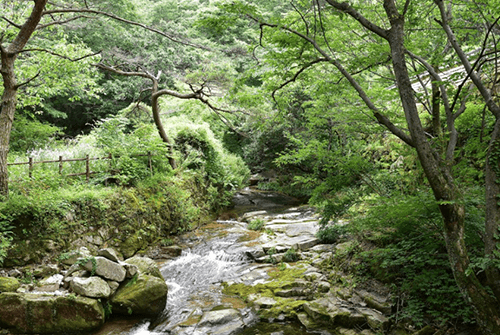 동학사07