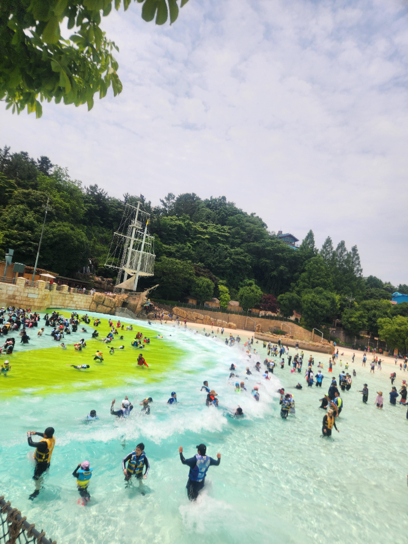 캐리비안베이 파도풀