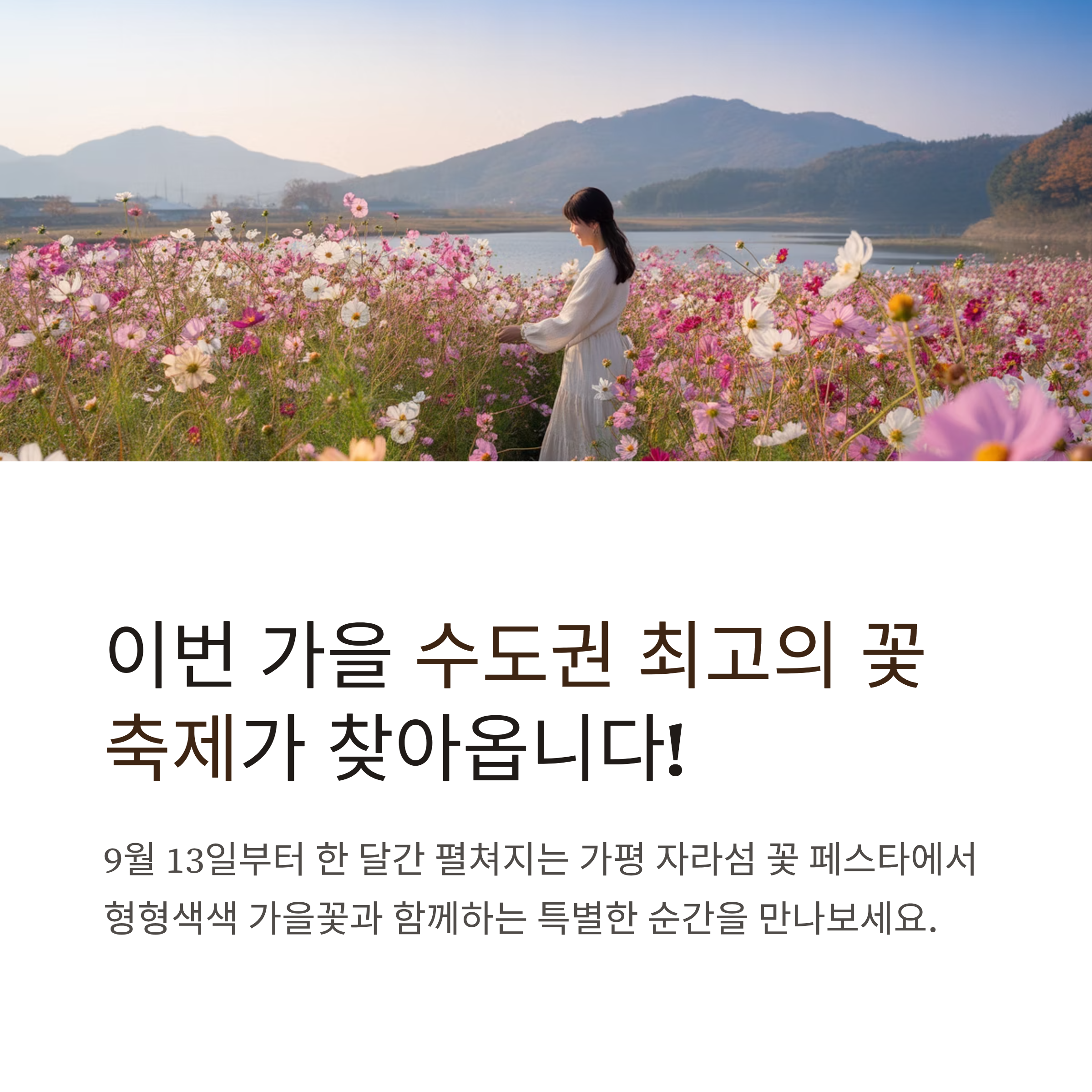 가평 자라섬 꽃 페스타 9월 13일부터 한 달간 즐기는 가을 축제