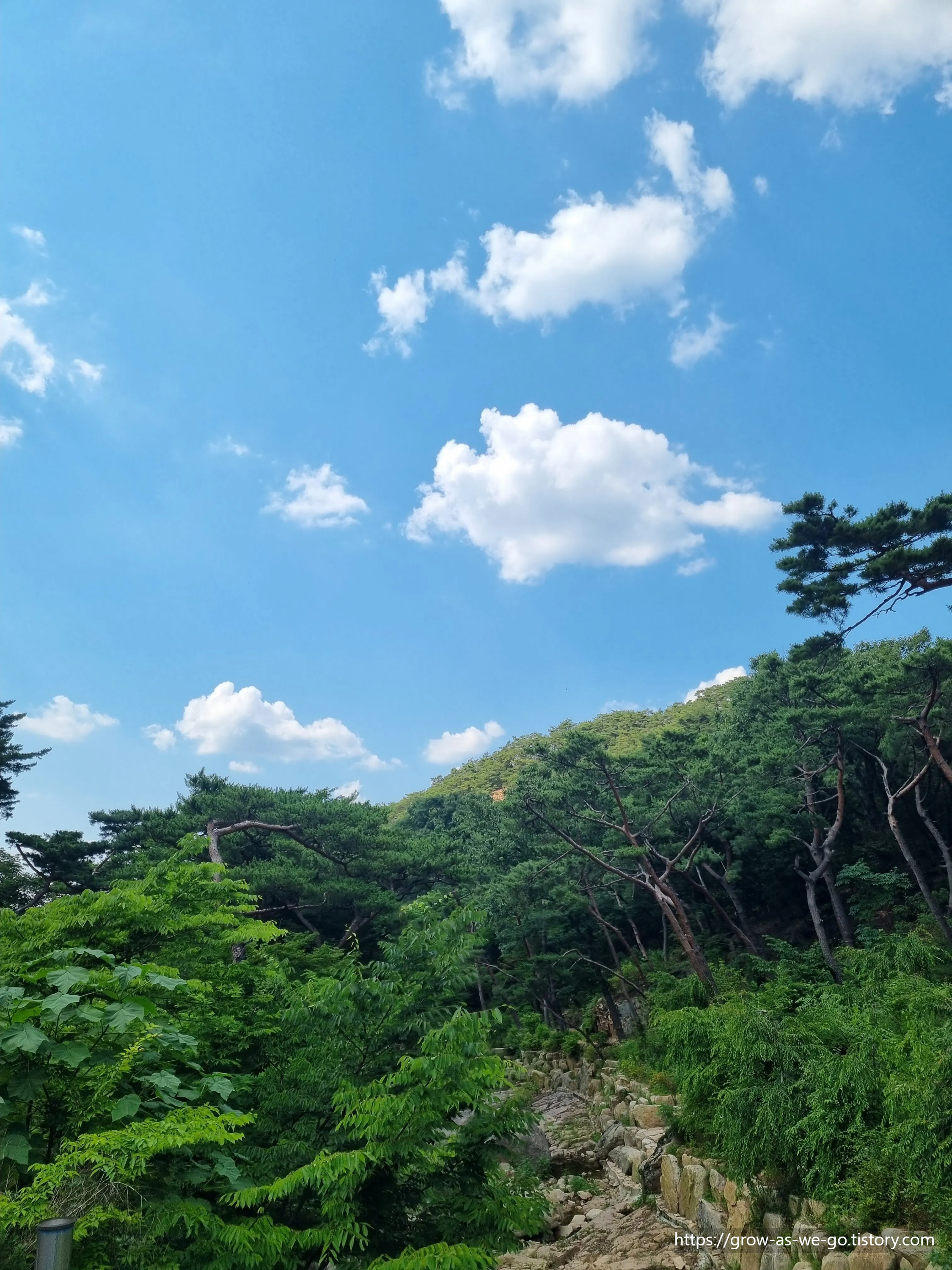 진관사-숲-산책로