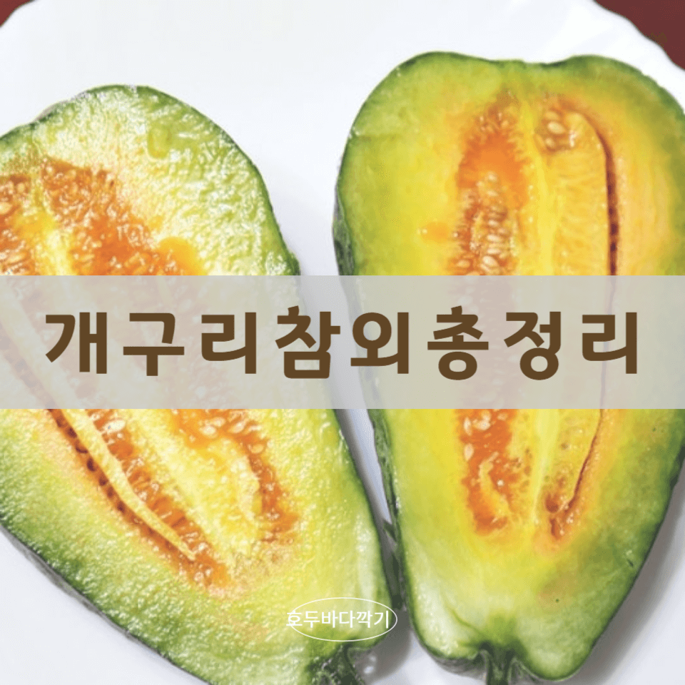 개구리-참외-효능에-대한-사진