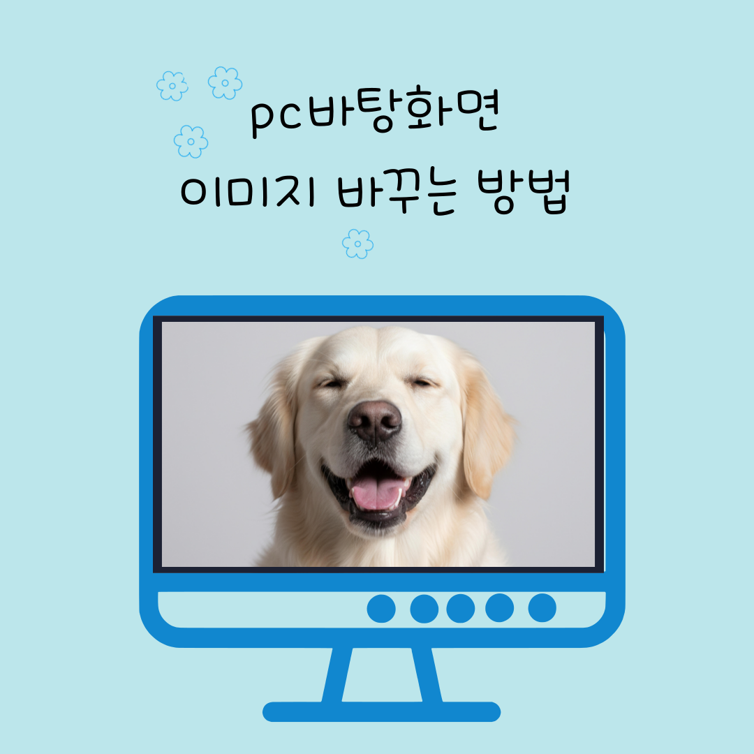 강아지 웃는 사진
