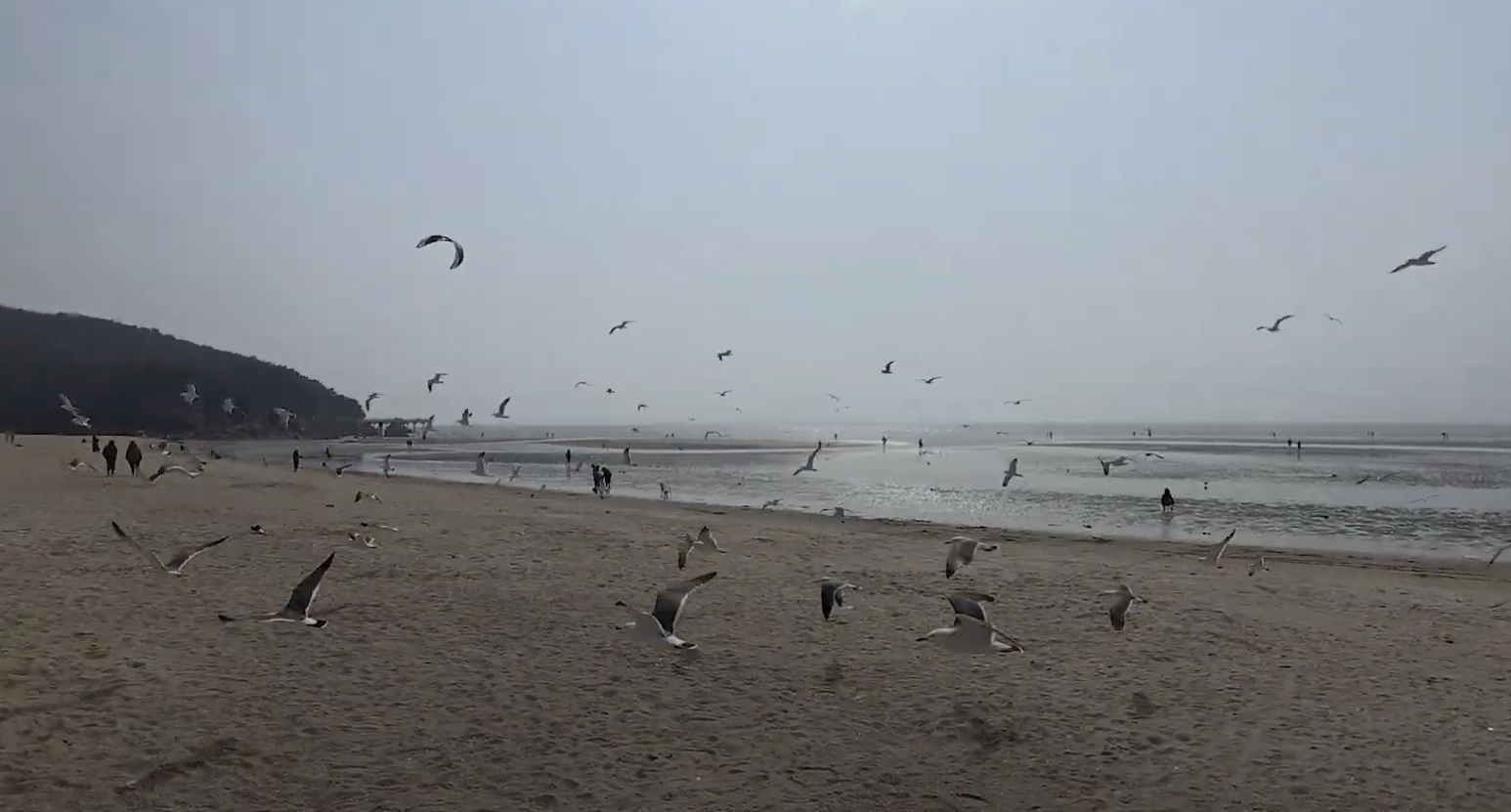 푸른 바다가 펼쳐진 무의도 해안선 풍경