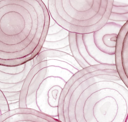 신장에 좋은 음식