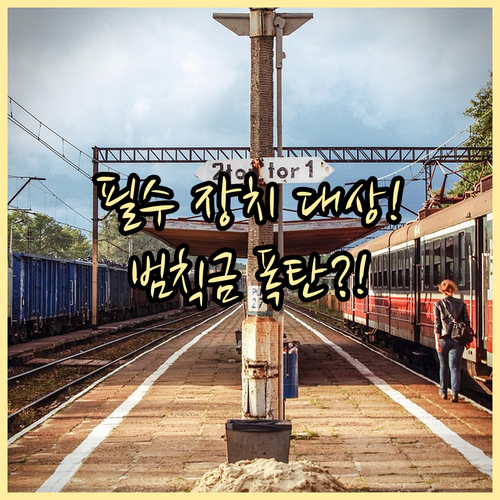 도로교통법 미끄럼 방지 장치 의무 대..