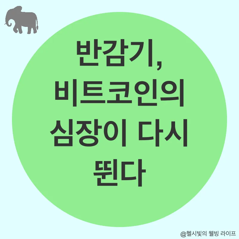 비트코인 전망_1
