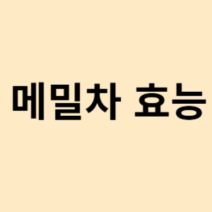 메밀차 효능