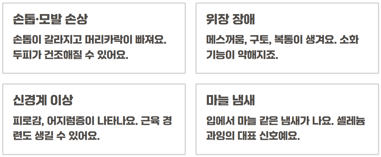 브라질너트 효능